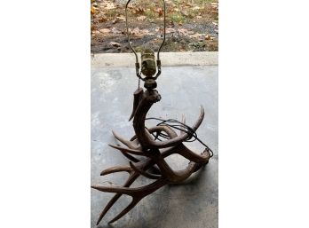 Antler Lamp