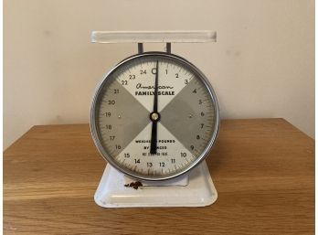 Vintage American Family Scale