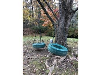 A Pair Of Plastic Tire Swings