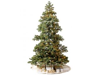 Balsam Hill Yukon Spruce 6' Christmas Tree With Clear Micro LED Lights (RETAIL $400)