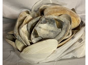 Bag Of Clam Shells