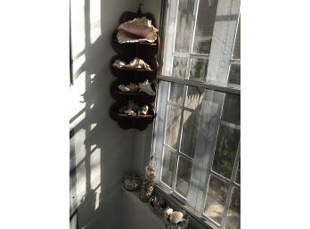 Sea Shells And Wood Corner Shelf