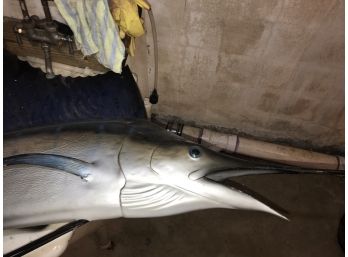 Marlin Wall Trophy