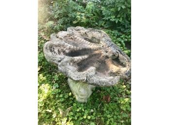 Stone Clamshell Birdbath