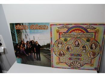 2 More Albums From Lynyrd Skynyrd - 1973 Debut Album