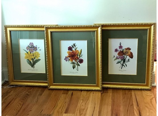 Three Matching Floral Prints In Gold Frames