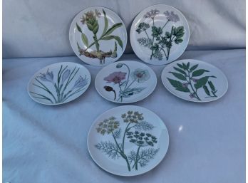 Vintage Horchow Collection 8' DiameterBotanical Plates (set Of 6)