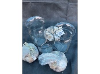 Clear Vases And Seashells