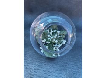 Glass Ball With Artificial Greenery Inside