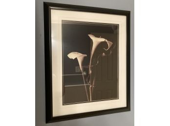 Calla Lilly Print  In Black Frame