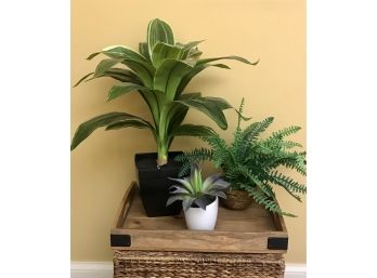 Nice Looking Faux Accent Plants With Rustic Tray