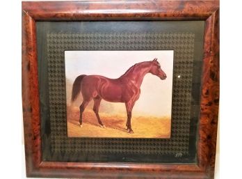 Framed Art Of A Beautiful Horse (20.25' X 18.75')