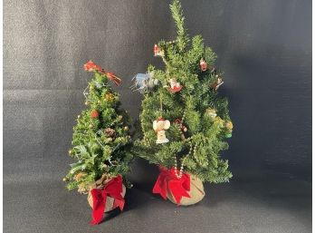 Two Small Christmas Trees