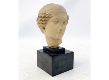 A Classical Bust Reproduction