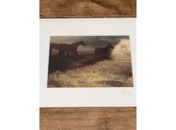 Signed Josh Axelrod Photography Horses 16x14' Matted Framed Glass