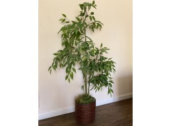 Faux Ficus Tree In Basket