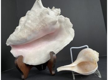 Large, Heavy Vtg Queen Pink Conch Sea Shell Small Trumpet Sea Shell