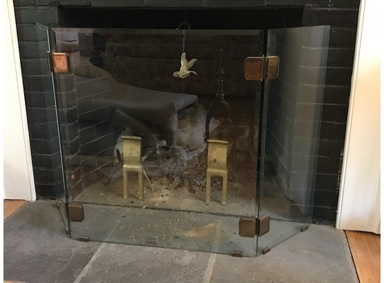 Glass FIreplace Screen And Brass Andirons And Grate