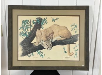 Illustration Of A Cougar In Frame - Artist Signed