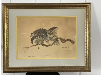 Illustration Of Owl In Frame - Artist Signed