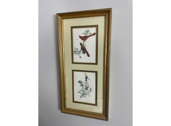 Beautiful Framed Art Of Birds