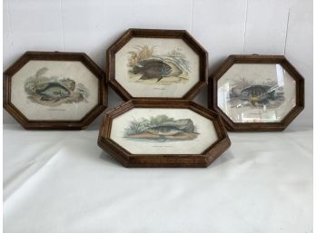 Stewart Del Vintage Lot Of 4 Fish Prints