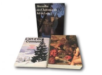 Group Of 3 Large Size French Coffee Table Books On Art