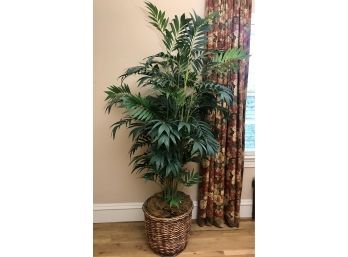 Large 8 FOOT Faux Tree In Wicker Basket