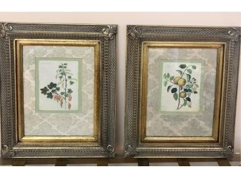 Pair Of Custom Framed BOTANICAL PRINTS