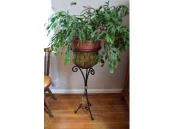 Ceramic Hanging Planter And Decorative Rod Iron And Weaved Basket Plant Stand