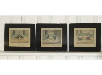 Trio C.R. Stock, Cock Fighting Engravings Under Glass Frames