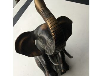 12 Inches X 7 Inches Solid Bronze Elephant