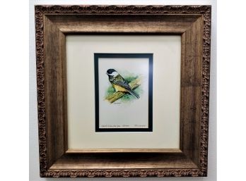 Connecticut Wildlife Artist David Stumpo Signed Numbered Limited Edition Gilcee Print  Chick A Dee Dee Dee