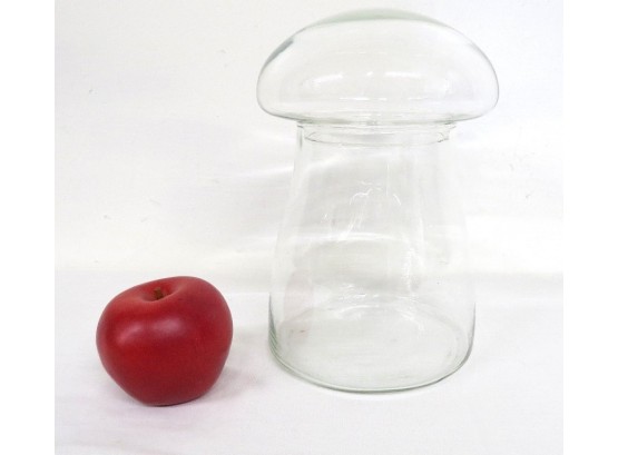 Mushroom Glass Top Storage Jar Or Terrarium