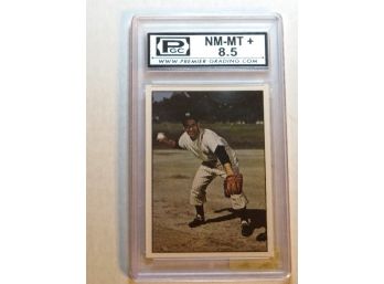 1979 TCMA Ltd. Baseball Card # 144 Phil Rizzuto PGC Graded 8.5 NM-MT