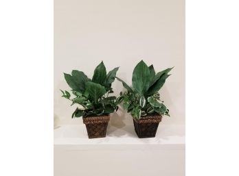Pair Faux Plants