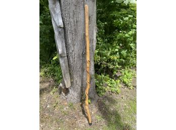 Hand Carved Awesome Walking Stick