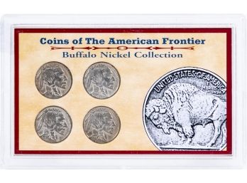 Buffalo Nickel Collection