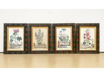 A Series Of Framed Botanical Prints