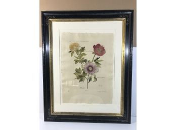 Peonia Floral Trowbridge Of London Hand Crafted Floral Frame (look At Signature) Limited Edition