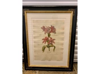 Amaryllis Floral Trowbridge Of London Hand Crafted Floral Frame (Look At Sign
