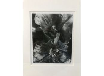 Black & White Modernism Floral Art Lithograph
