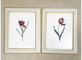 A Pair Of Framed Botanical Prints