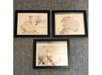 Trio Of Japanese Ink Prints In Black Floating Frames - 15 X 12