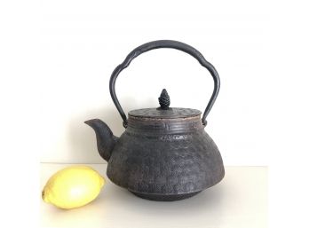 Antique Japanese Iron Tea Pot - Nambu Tekki