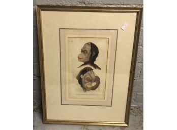 Framed Hand Colored Print- 1823