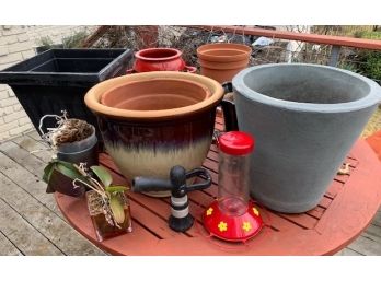 Pots And Planters, Two Orchids (which I May Not Be Able To Keep Alive Until Pickup But Will Try)