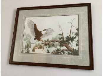 Rudy Ravasio Marked Art Of An Eagle