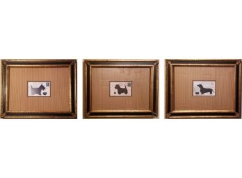 Series Of Dog Prints
