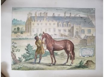 English Horse Print